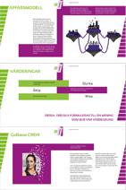 Graphic design/branding